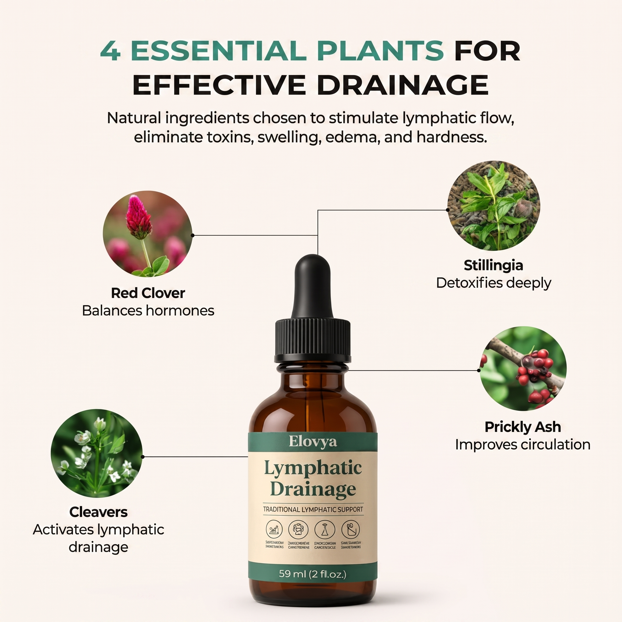 Lymphatic Drainage Wellness Drops