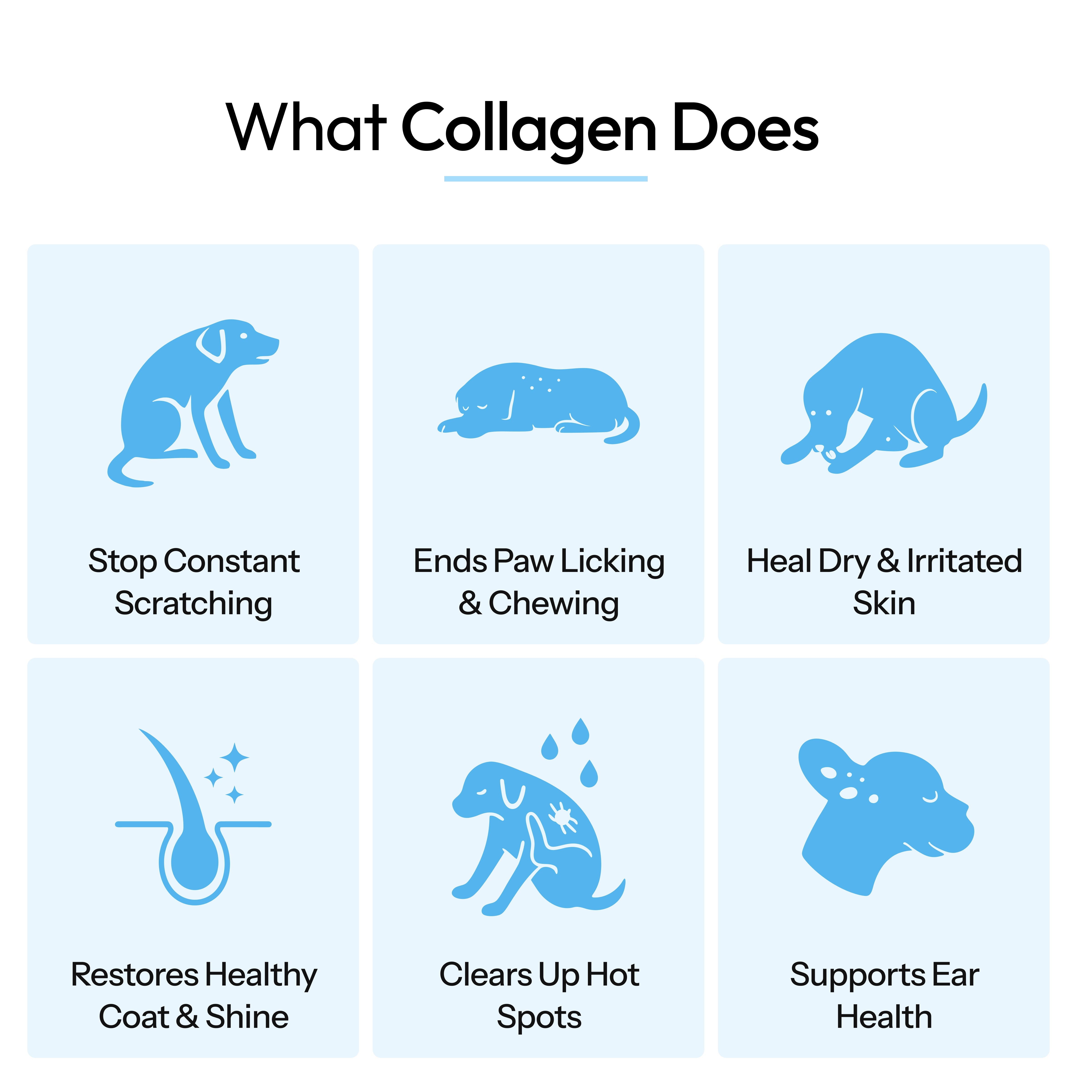 Healthy Petz Premium Liquid Collagen